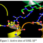 Figure 1: Active sites of GSK-3β14