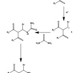 Scheme 2: General mechanism of Biginelli reaction8