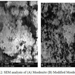 Figure 2: SEM analysis of (A) Mordenite (B) Modified Mordenite.