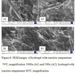 Figure 6: SEM images of hydrogel with reaction temperature 70oC, magnification 1000x (A1) and 500x (A2), hydrogel with reaction temperature 80oC, magnification 1000x (A1) and 500x (A2).