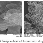 Figure 10: Images obtained from coated drug particles