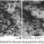 Figure 9: Images obtained by the pure drug particles of hydrocortisone acetate