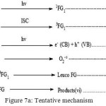 Figure 7a: Tentative mechanism