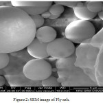 Figure 2: SEM image of Fly ash.