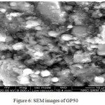 Figure 6: SEM images of GP50