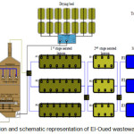 Figure 1: Localization and schematic representation of El-Oued wastewater treatment plant.