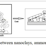 Figure 2: Schematic of interaction between nanoclays, ammonium salts and polyester fabric.