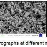 Figure 2: SEM micrographs at different magnifications (A-C)