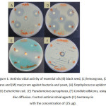 Figure 1: Antimicrobial activity of essential oils (B) black seed, (L) lemongrass, (O) oregano and (M) marjoram against bacteria and yeast, (A) Staphylococcus epidermidis, (D) Escherichia coli,  (E) Pseudomonas aeruginosa, (F) Candida albicans, using disc diffusion. Control antimicrobial agents (C) Gentamycin with the concentration of (25 µg).