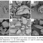 Figure 3: Scanning electron micrographs of A) intact simvastatin, B) HPMC, C) Physical mixture, D) solid dispersion 1:1, E) solid dispersion 1:3 and F) solid dispersion 1:5.All micrographs were taken at a magnification of 500x