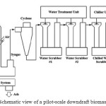 Figure 4: Schematic view of a pilot-scale downdraft biomass gasification.