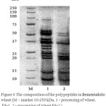 Figure 4: The composition of the polypeptides in fermentalistic wheat (M – marker 10-250 kDa, 1 - processing of wheat, FS-1, 2 - processing of wheat FS-2 ).