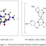 Figure 11: The prosed structural formula of metal complexes