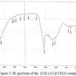 Figure 5: IR spectrum of the  [Cr(L)2Cl2]Cl.H2O complex