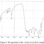 Figure 6: IR spectrum of the  [Cu(L)2Cl2].H2O complex 