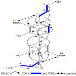 Figure 2 : Relevant HMBC (→), COSY (=) and NOEs  (↔) Correlations for compound 1