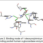 Figure 2: Binding mode of  1-deoxynojirimicyn in binding pocket human α-glucosidase enzyme