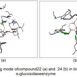 Figure 3: Binding mode of compound 22 (a) and  24 (b) in binding human α-glucosidase enzyme