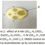 Figure 2: effect of A-Mn (OC10 H6 CHO)2.  B - Zn(OC10 H6 CHO)2. C-Ni (OC10 H 6 CHO)2 . D -Cd (OC10 H 6 CHO)2 E. DMSO control on bacteria Acientobacter sp by concentration 90%.