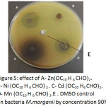 Figure 5: effect of A- Zn(OC10 H6 CHO)2 . B-Ni (OC10 H6 CHO)2. C-Cd (OC10 H6 CHO)2. D-Mn (OC10 H6 CHO)2.E. DMSO control on bacteria M.morganii by concentration 90%.
