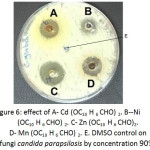 Figure 6: effect of A-Cd (OC10 H6 CHO)2. B--Ni (OC10 H6 CHO)2. C- Zn (OC10 H6 CHO) 2.D- Mn (OC10 H6 CHO)2. E. DMSO control on fungi candida parapsilosis by concentration 90%.