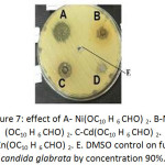 Figure 7: effect of A- Ni(OC10 H 6 CHO) 2. B-Mn (OC10 H 6 CHO) 2. C-Cd(OC10 H 6 CHO) 2.D- Zn(OC10 H 6 CHO) 2. E. DMSO control on fungi candida glabrata by concentration 90%.