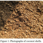 Figure 1: Photographs of coconut shells.