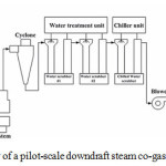 Figure 2: Schematic view of a pilot-scale downdraft steam co-gasiﬁcation power plant.