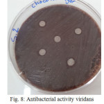 Figure 8: Antibacterial activity viridans Streptococci treated by S2 on chocolate agar