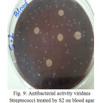 Figure 9: Antibacterial activity viridans Streptococci treated by S2 on blood agar