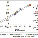 Figure 3: The graph of Lineweaver-Burk of native enzyme and modified enzymes  (63, 70 and 81%).