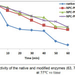 Figure 4: Activity of the native and modified enzymes (63, 70 and 81%) at 55ºC vs time 