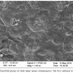 Figure 7: The SEM photo of mild steel when immersed in 1M HCL without inhibitor.