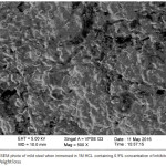 Figure 8: The SEM photo of mild steel when immersed in 1M HCL containing 0.9% concentration of inhibitor.