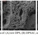 Figure 16: SEM micrographs of: (A) raw DPS, (B) DPSAC, and (C) Co20wt/DPSAC, Tcalcination =300°C.