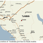 Figure 1: Location of  Turabaha province in Saudi Arabia