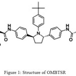 Figure 1: Structure of OMBTSRFig.2 Structure of RTNVR