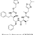 Figure 2: Structure of RTNVR