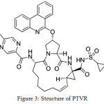 Figure 3: Structure of PTVR