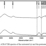 Figure 1: ATR-FTIR spectra of the untreated (a) and the pretreated of CR (b)