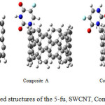 Figure 1: Optimized structures of the 5-fu, SWCNT, Composites A, B, and C.