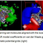 Figure 4: Training set molecules aligned with the isosurface of the 3D QSAR model coefficients on van der Waals grids (left) and electrostatic potential grids (right)