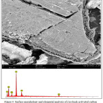 Figure 4: Surface morphology and elemental analysis of rice husk activated carbon.
