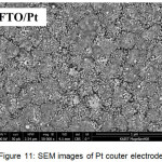 Figure 11: SEM images of Pt couter electrode