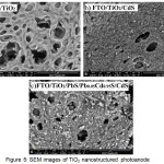 Figure 5 : SEM images of TiO2 nanostructured photoanode