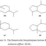 Figure 14: The frameworks Sesquiterpene lactone from Artemisia diffusa  66-69.     