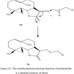 Figure 18: The α-methylenebutyrolactone function of parthenolide is a Michael acceptor of thiols                