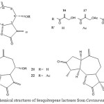 Figure 4: Chemical structures of Sesquiterpene lactones from Centaurea behen L.  16-24.