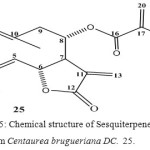 Figure 5: Chemical structure of Sesquiterpene lactone from Centaurea brugueriana DC.  25.