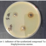 Figure 1: influence of the synthesized compound 7a on Staphylococcus aureus.